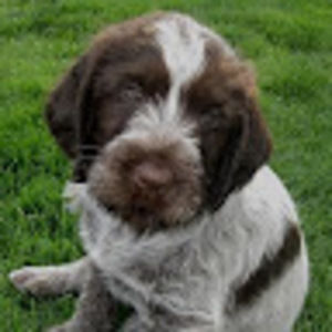 Meet your Posher, Kirsha